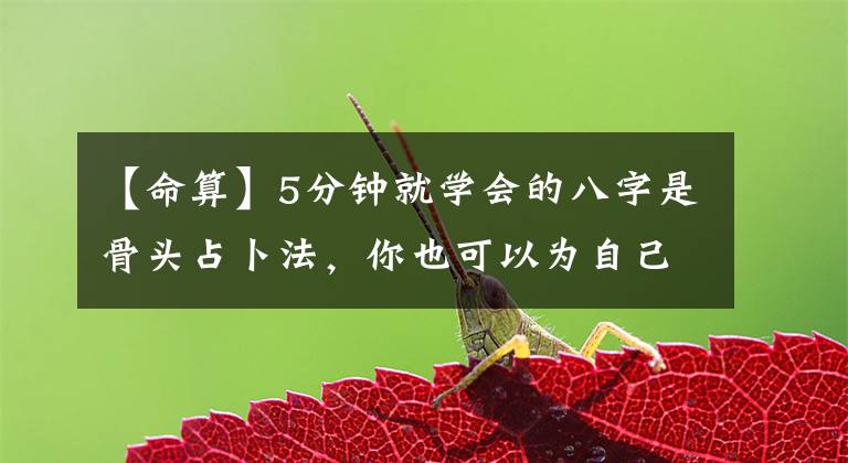 【命算】5分钟就学会的八字是骨头占卜法,你也可以为自己和家人计算算命。