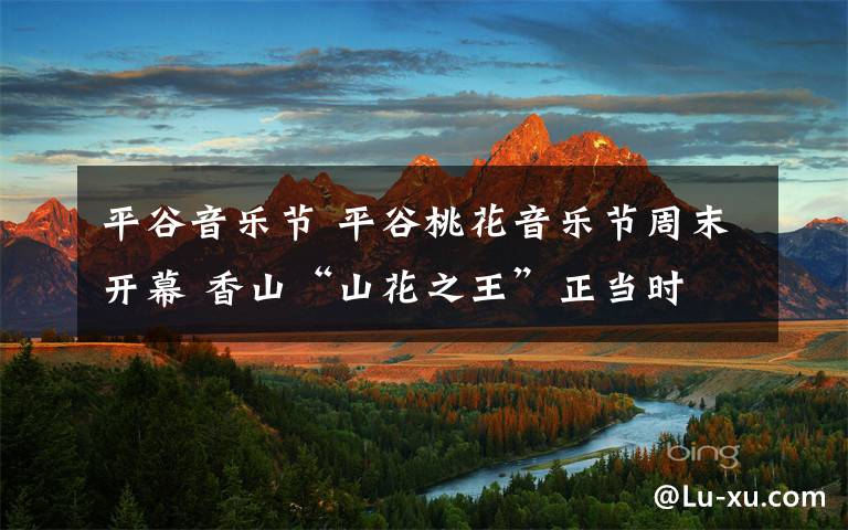 平谷音乐节 平谷桃花音乐节周末开幕 香山“山花之王”正当时