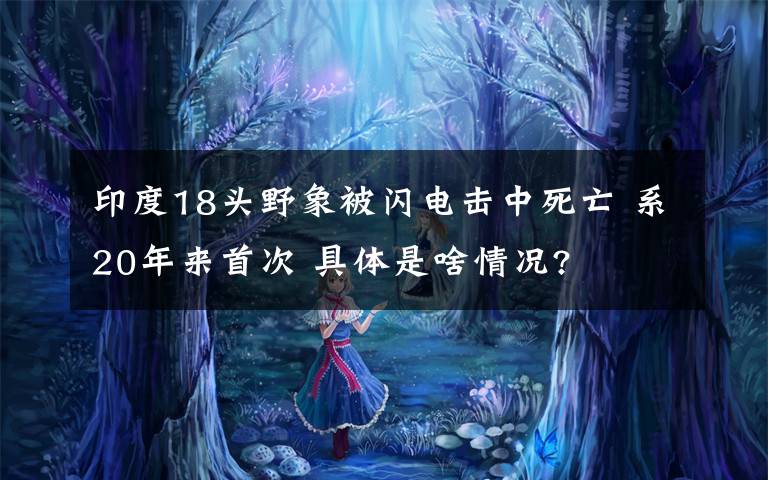 印度18头野象被闪电击中死亡 系20年来首次 具体是啥情况?