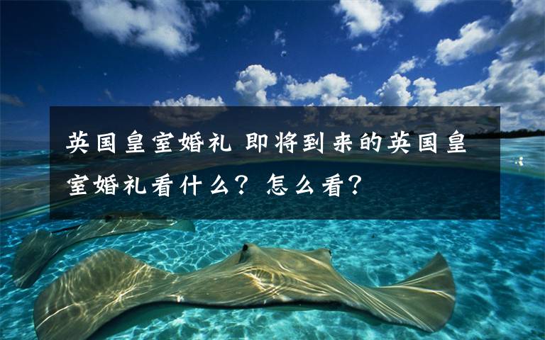 英国皇室婚礼 即将到来的英国皇室婚礼看什么?怎么看?