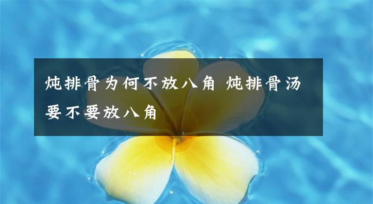 炖排骨为何不放八角 炖排骨汤要不要放八角