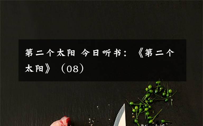 第二个太阳 今日听书:《第二个太阳》(08)