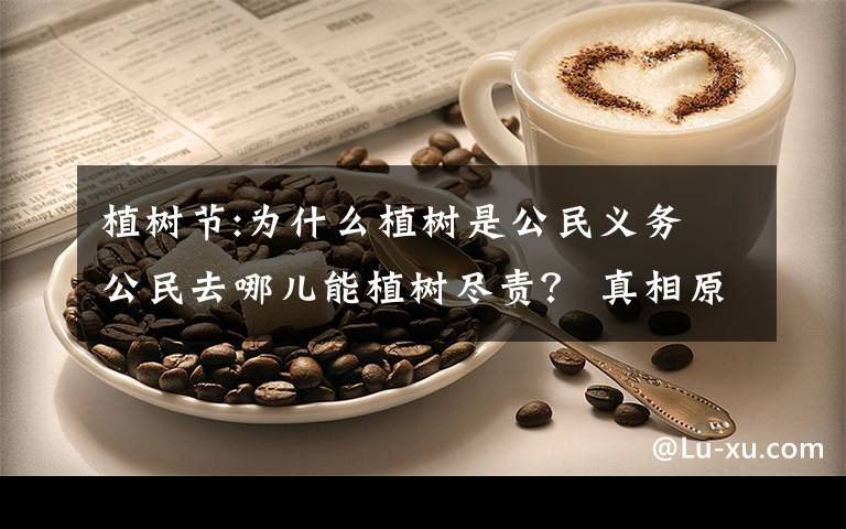植树节:为什么植树是公民义务 公民去哪儿能植树尽责? 真相原来是这样!