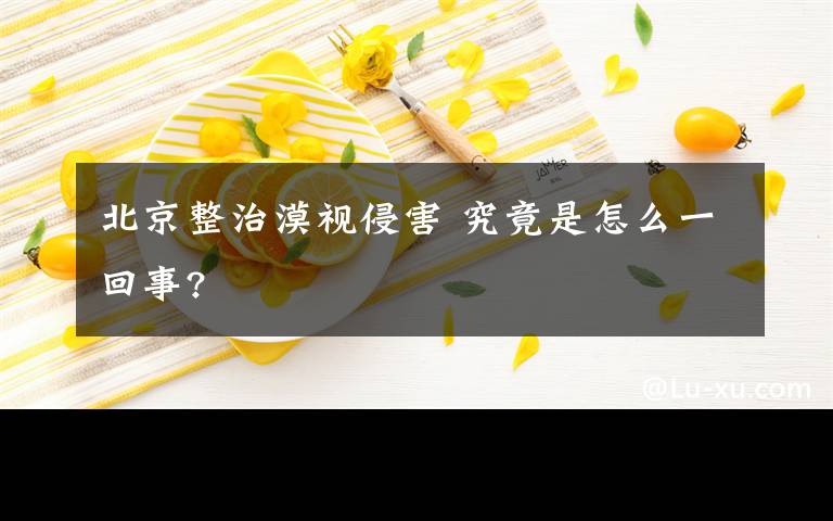 北京整治漠视侵害 究竟是怎么一回事?