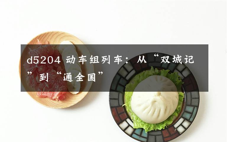 d5204 动车组列车:从“双城记”到“通全国”