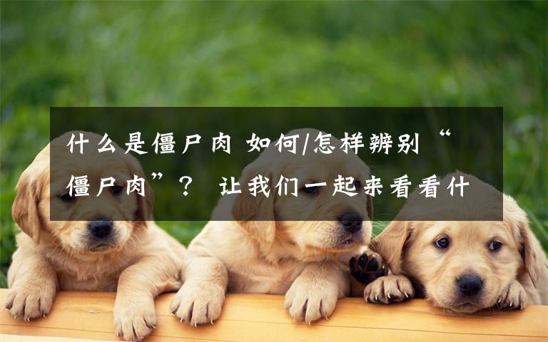 什么是僵尸肉 如何/怎样辨别“僵尸肉”？ 让我们一起来看看什么是僵尸肉！