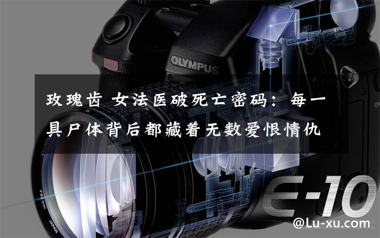 玫瑰齿 女法医破死亡密码:每一具尸体背后都藏着无数爱恨情仇