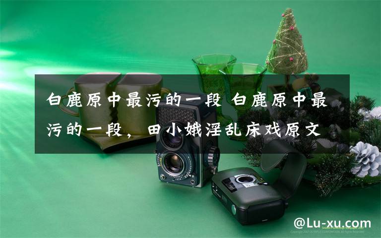 白鹿原中最污的一段 白鹿原中最污的一段,田小娥淫乱床戏原文描写