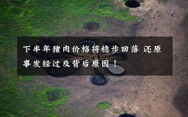 下半年猪肉价格将稳步回落 还原事发经过及背后原因！