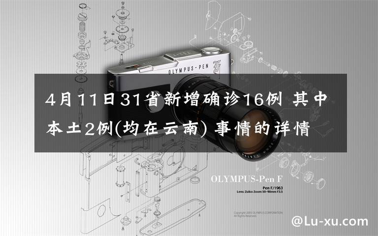 4月11日31省新增确诊16例 其中本土2例(均在云南) 事情的详情始末是怎么样了!