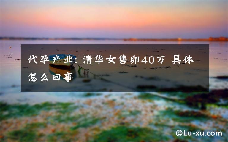 代孕产业: 清华女售卵40万 具体怎么回事