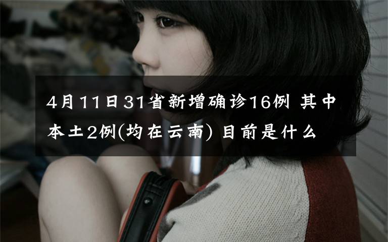 4月11日31省新增确诊16例 其中本土2例(均在云南) 目前是什么情况?