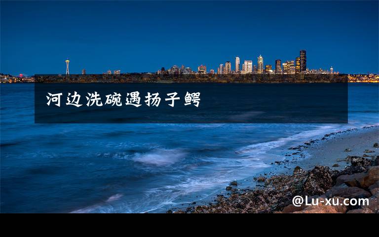 河边洗碗遇扬子鳄