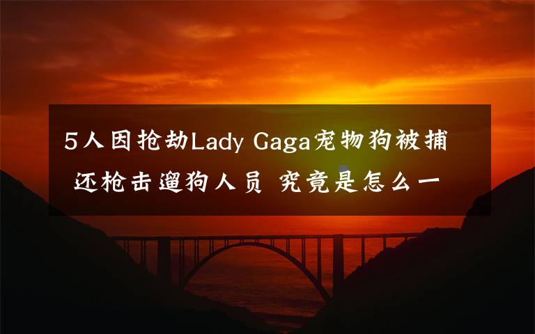 5人因抢劫Lady Gaga宠物狗被捕 还枪击遛狗人员 究竟是怎么一回事?
