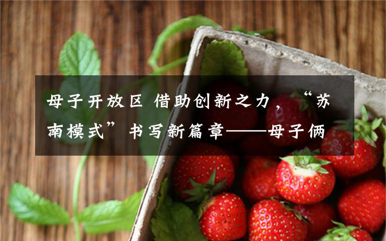母子开放区 借助创新之力，“苏南模式”书写新篇章——母子俩的企业改革记忆
