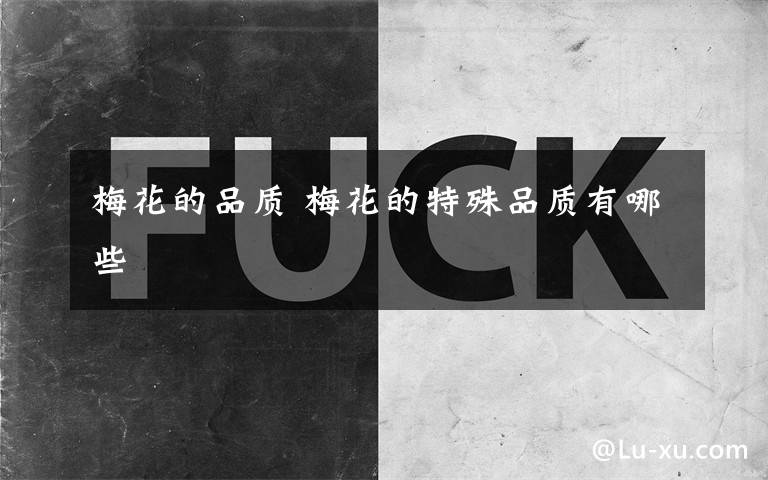 梅花的品质 梅花的特殊品质有哪些