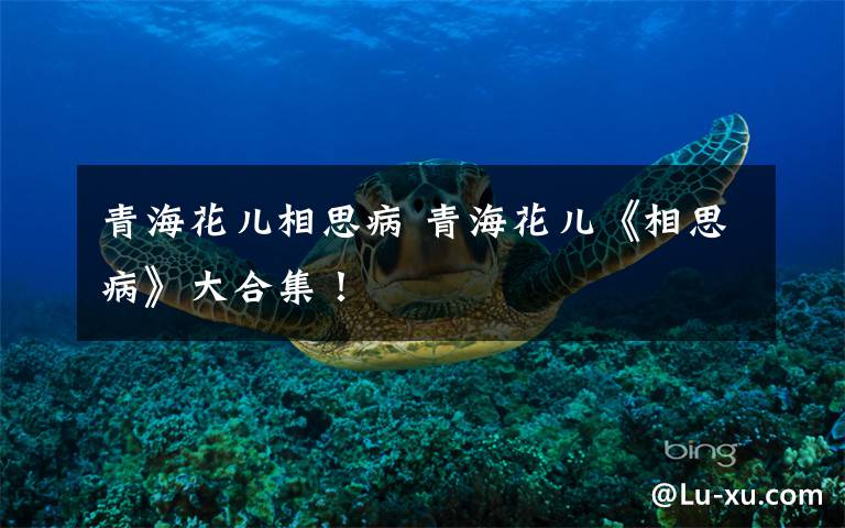 青海花儿相思病 青海花儿《相思病》大合集!