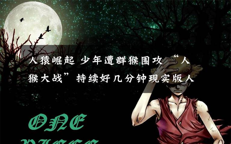 人猿崛起 少年遭群猴围攻 “人猴大战”持续好几分钟现实版人猿崛起