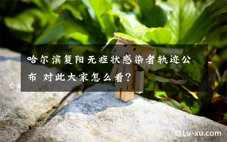 哈尔滨复阳无症状感染者轨迹公布 对此大家怎么看?