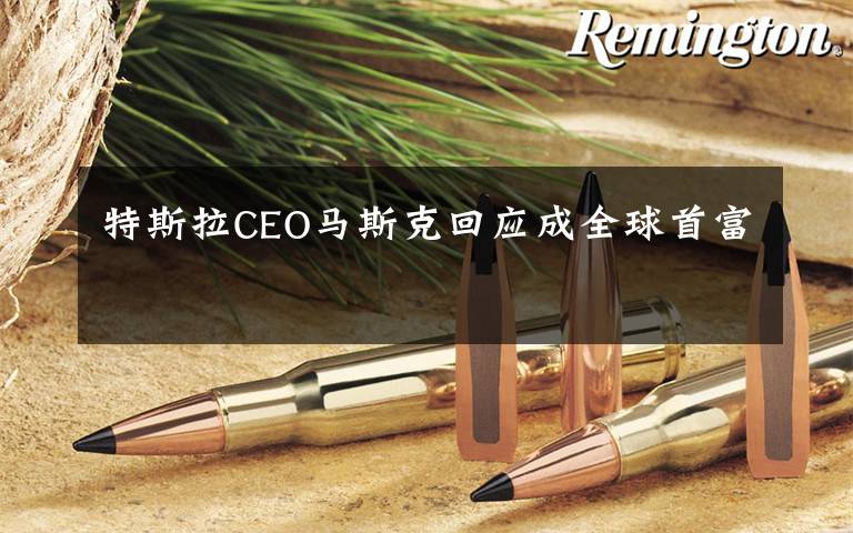 特斯拉CEO马斯克回应成全球首富