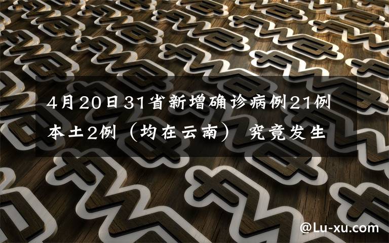 4月20日31省新增确诊病例21例 本土2例(均在云南) 究竟发生了什么?