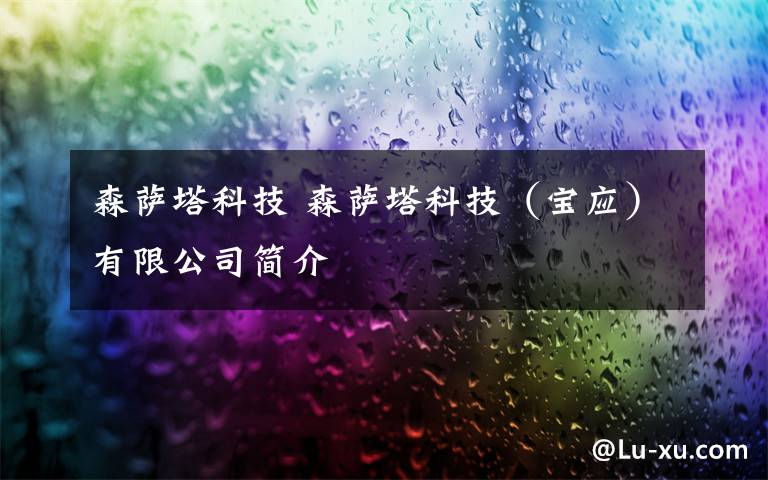 森萨塔科技 森萨塔科技（宝应）有限公司简介
