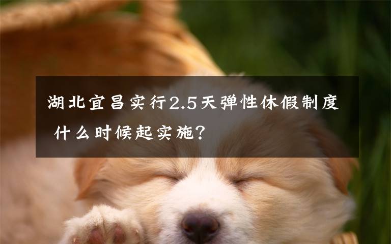 湖北宜昌实行2.5天弹性休假制度 什么时候起实施?