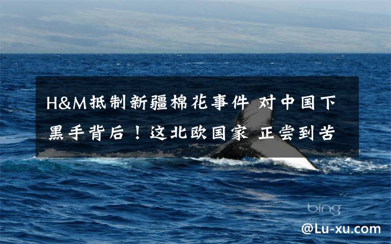 H&M抵制新疆棉花事件 对中国下黑手背后!这北欧国家 正尝到苦果