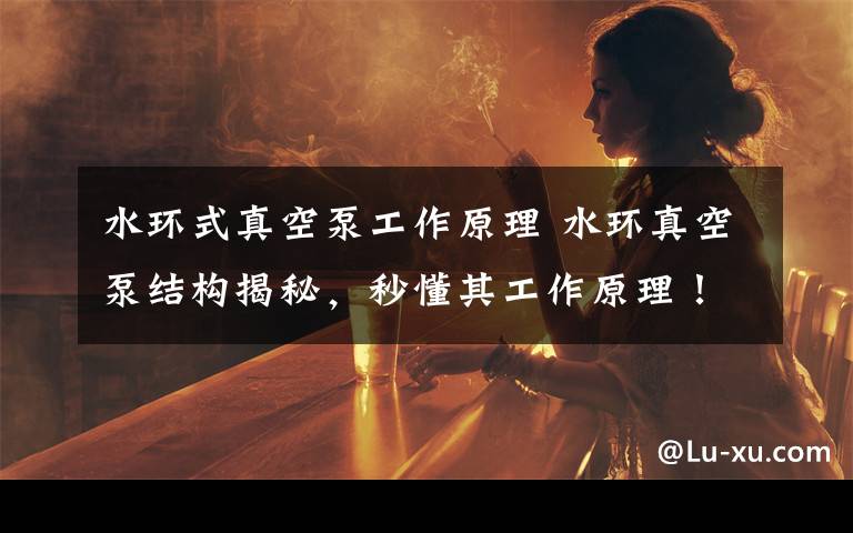 水环式真空泵工作原理 水环真空泵结构揭秘,秒懂其工作原理!