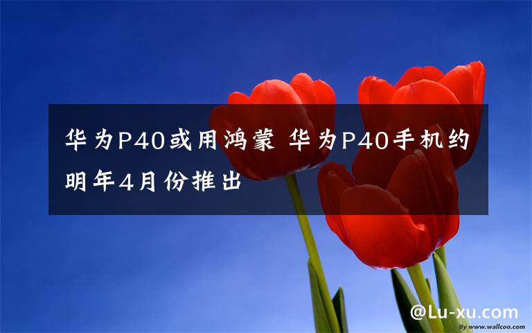 华为P40或用鸿蒙 华为P40手机约明年4月份推出