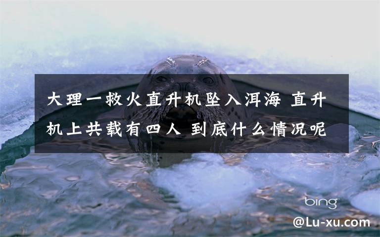 大理一救火直升机坠入洱海 直升机上共载有四人 到底什么情况呢？