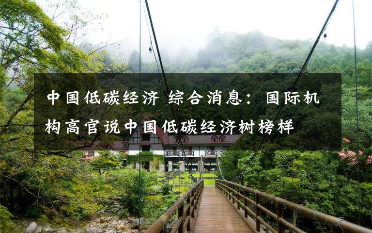 中国低碳经济 综合消息:国际机构高官说中国低碳经济树榜样