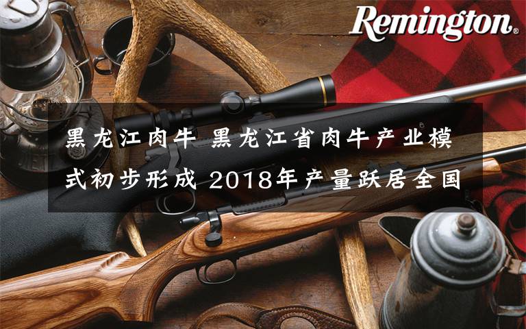 黑龙江肉牛 黑龙江省肉牛产业模式初步形成 2018年产量跃居全国第4位