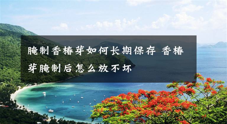 腌制香椿芽如何长期保存 香椿芽腌制后怎么放不坏