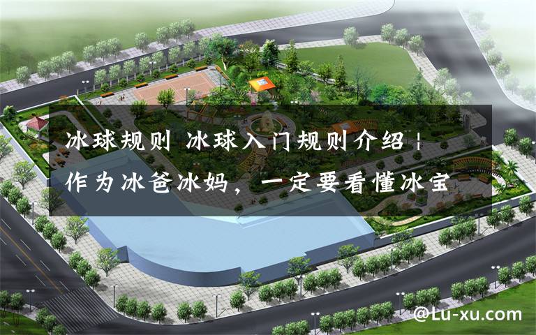 冰球规则 冰球入门规则介绍 | 作为冰爸冰妈,一定要看懂冰宝的每一场比赛~