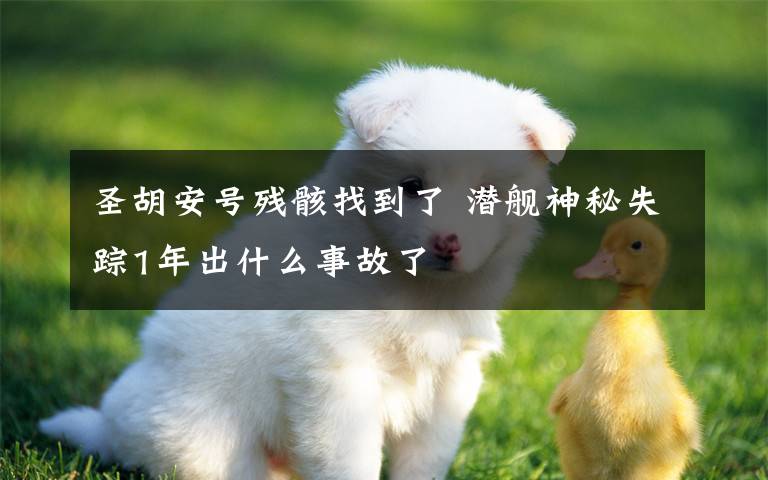 圣胡安号残骸找到了 潜舰神秘失踪1年出什么事故了