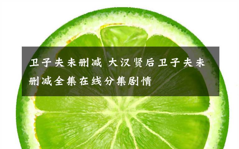 卫子夫未删减 大汉贤后卫子夫未删减全集在线分集剧情