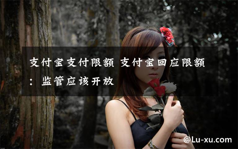 支付宝支付限额 支付宝回应限额:监管应该开放