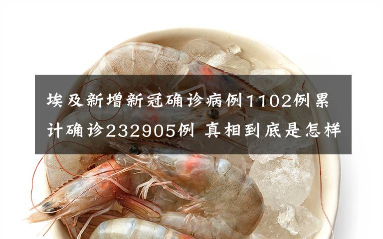 埃及新增新冠确诊病例1102例累计确诊232905例 真相到底是怎样的?