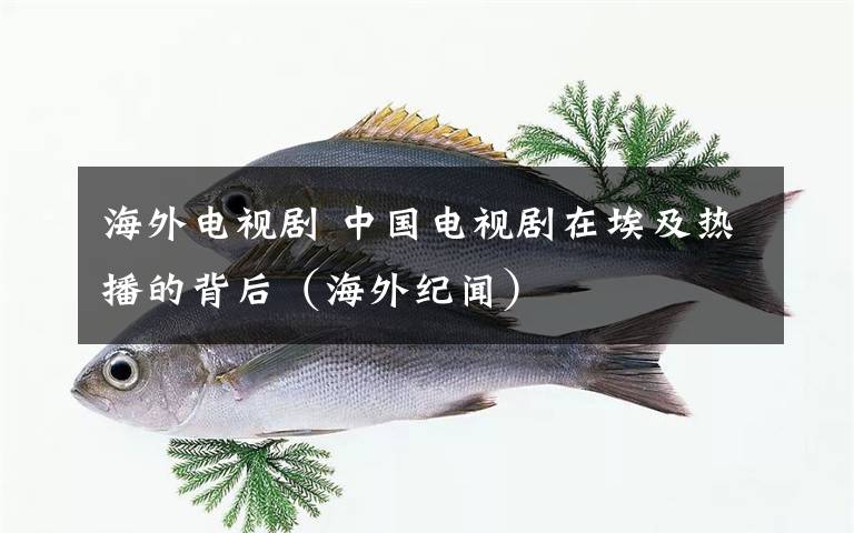 海外电视剧 中国电视剧在埃及热播的背后（海外纪闻）