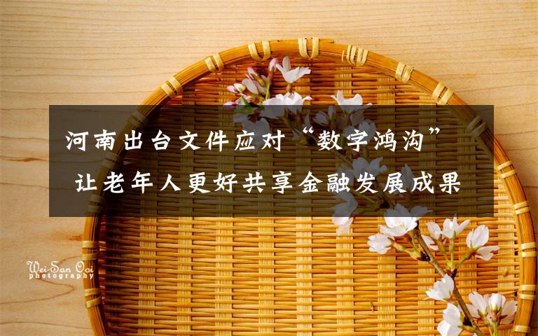 河南出台文件应对“数字鸿沟” 让老年人更好共享金融发展成果 真相原来是这样!