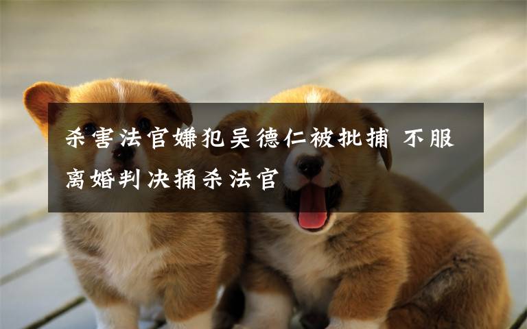 杀害法官嫌犯吴德仁被批捕 不服离婚判决捅杀法官