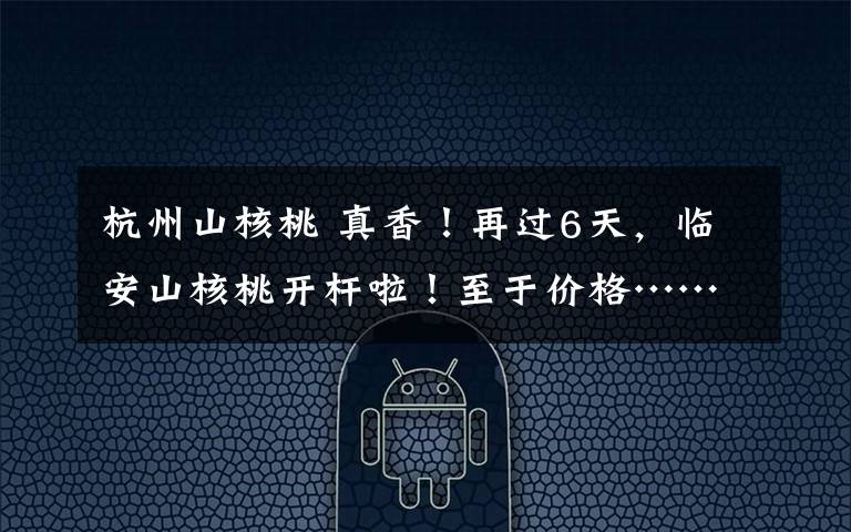 杭州山核桃 真香!再过6天,临安山核桃开杆啦!至于价格……