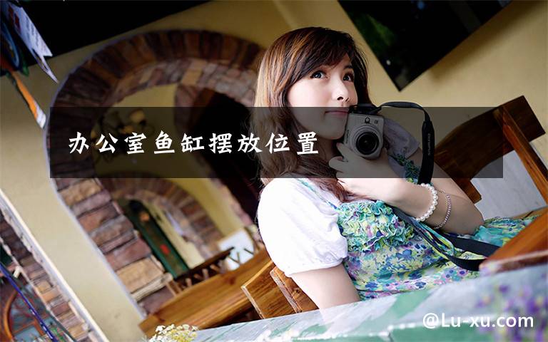 办公室鱼缸摆放位置