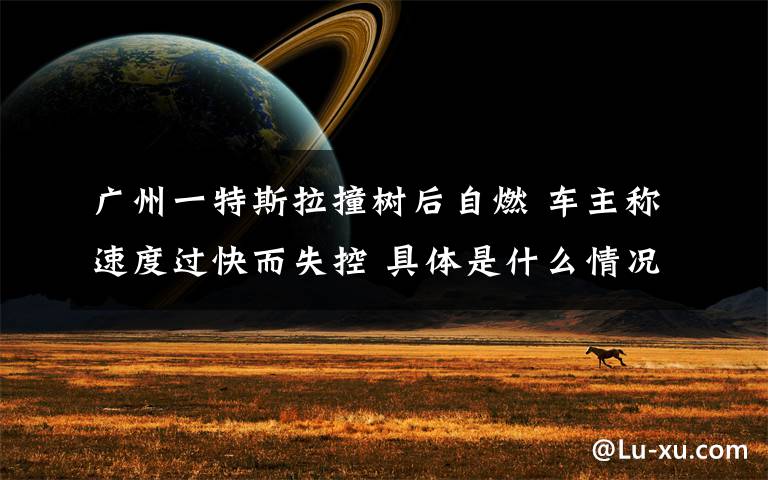 广州一特斯拉撞树后自燃 车主称速度过快而失控 具体是什么情况？