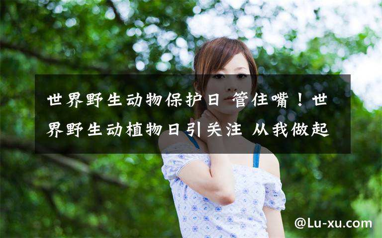 世界野生动物保护日 管住嘴!世界野生动植物日引关注 从我做起共建美丽地球!