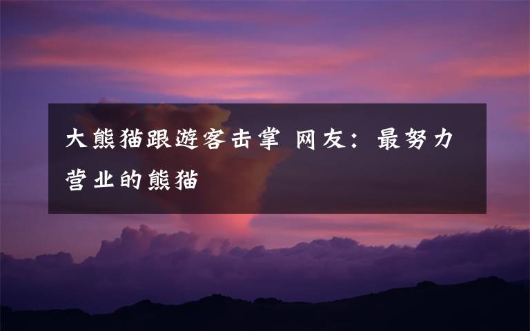 大熊猫跟游客击掌 网友:最努力营业的熊猫