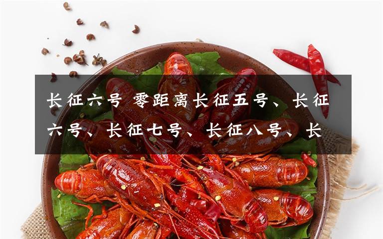 长征六号 零距离长征五号、长征六号、长征七号、长征八号、长征十一号都来了——中国新一代火箭悉数亮相