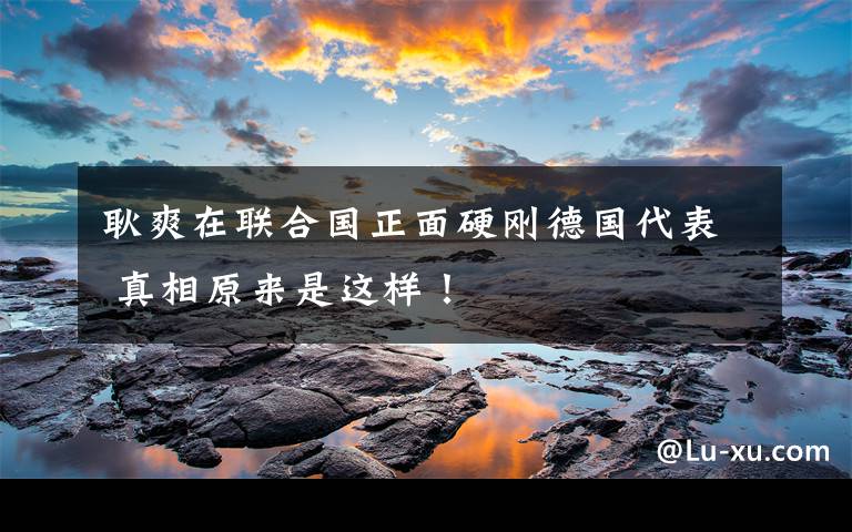 耿爽在联合国正面硬刚德国代表 真相原来是这样!