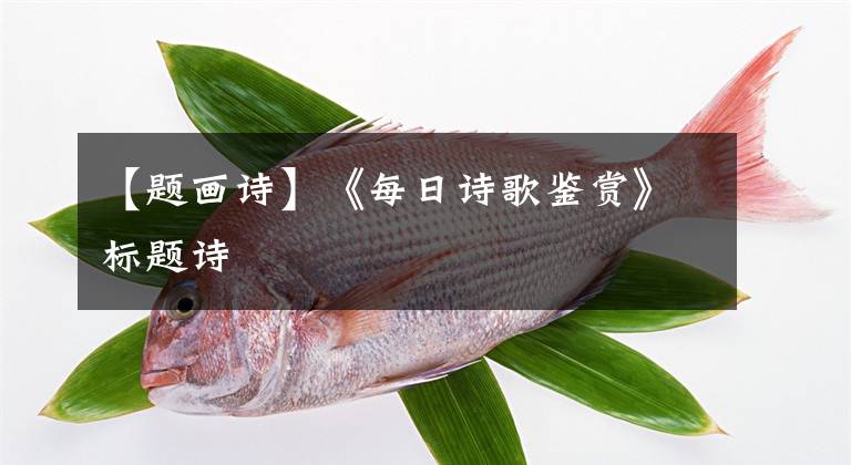 【题画诗】《每日诗歌鉴赏》标题诗